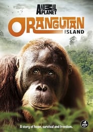 Orangutan Island' Poster