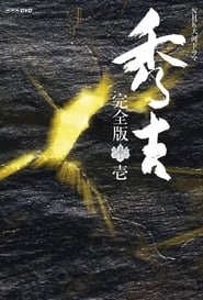 Hideyoshi' Poster