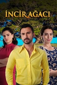 Incir Agaci' Poster