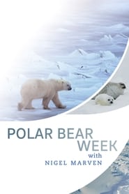 Polar Bear Week with Nigel Marven' Poster