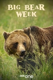 Big Bear Week' Poster
