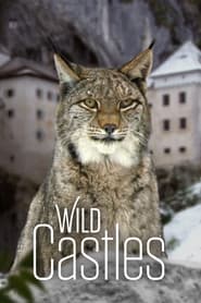 Wild Castles' Poster