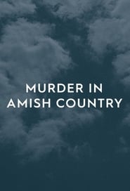 Murder in Amish Country' Poster
