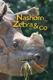 Nashorn Zebra  Co' Poster