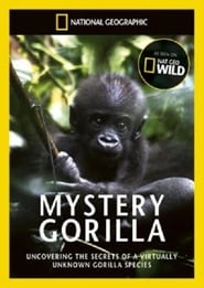Mystery Gorillas' Poster