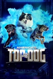 Americas Top Dog' Poster