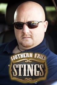 Southern Fried Stings' Poster
