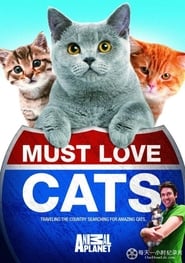 Must Love Cats' Poster
