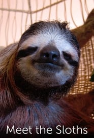 Streaming sources forMeet the Sloths