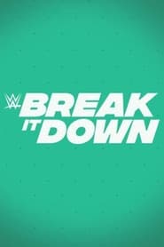WWE Break It Down' Poster