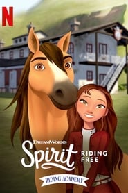 Spirit Riding Free Riding Academy