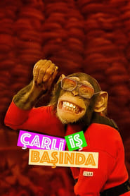 arli Is Basinda' Poster