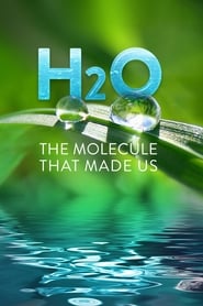 H2O The Molecule That Made Us' Poster