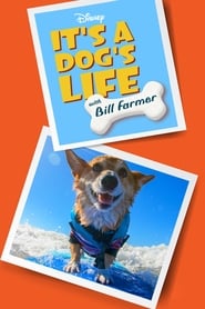 Its A Dogs Life' Poster