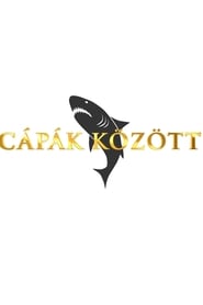 Cpk kztt' Poster