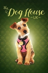 The Dog House' Poster
