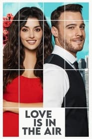 Love Is in the Air' Poster