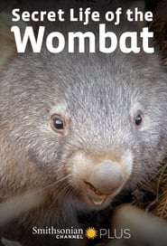 Secret Life of the Wombat' Poster