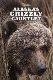 Alaskas Grizzly Gauntlet' Poster