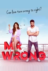 Mr Wrong' Poster