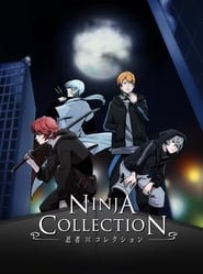 Ninja Collection' Poster