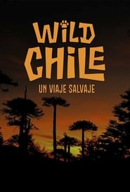 Wild Chile' Poster