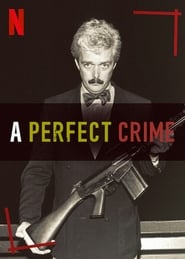 A Perfect Crime' Poster