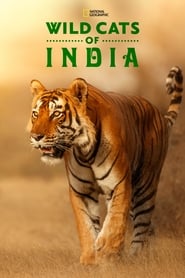 Wild Cats of India' Poster