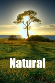 Natural' Poster