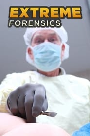 Streaming sources forExtreme Forensics