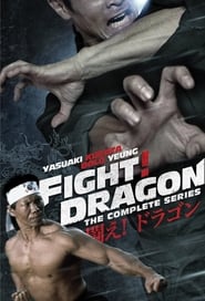 Fight Dragon' Poster