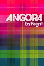 Angora by Night' Poster