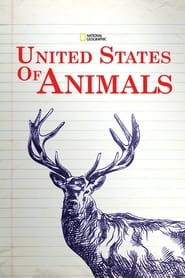 United States of Animals' Poster