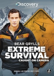 Bear Grylls Extreme Survival Caught on Camera' Poster