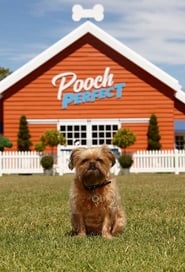 Pooch Perfect' Poster
