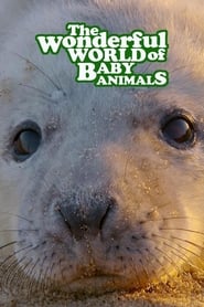 The Wonderful World of Baby Animals' Poster