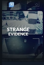 Strange Evidence' Poster