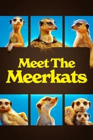 Meet the Meerkats' Poster