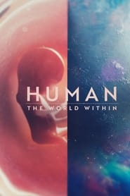 Streaming sources forHuman The World Within
