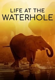 Life at the Waterhole' Poster