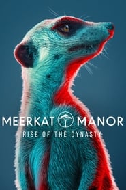Meerkat Manor Rise of the Dynasty' Poster