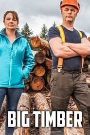Big Timber' Poster