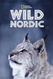 Wild Nordic' Poster