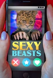 Streaming sources forSexy Beasts