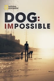 Streaming sources forDog Impossible
