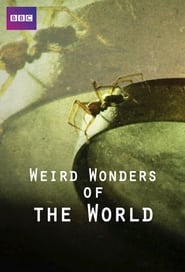 Weird Wonders of the World' Poster