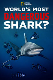 Worlds Most Dangerous Shark' Poster