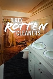Dirty Rotten Cleaners' Poster