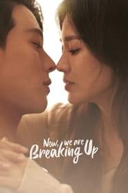 Now We Are Breaking Up' Poster