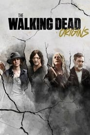The Walking Dead Origins' Poster
